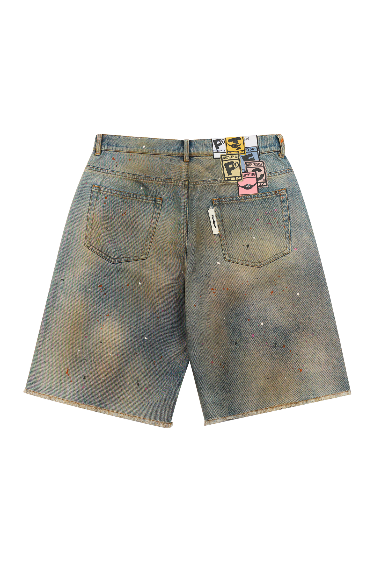 Astral Gunnar Shorts