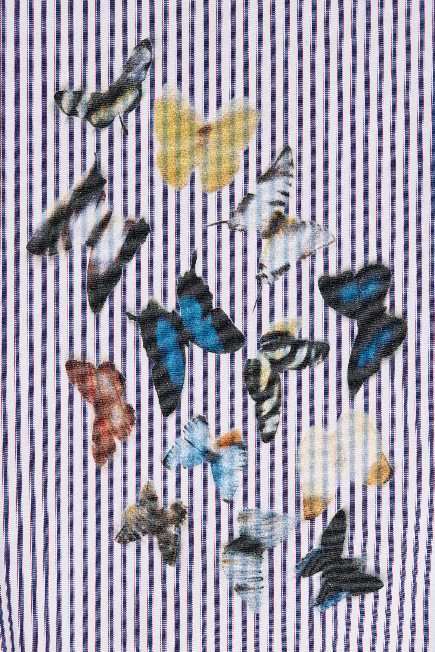 Fantasy Trousers